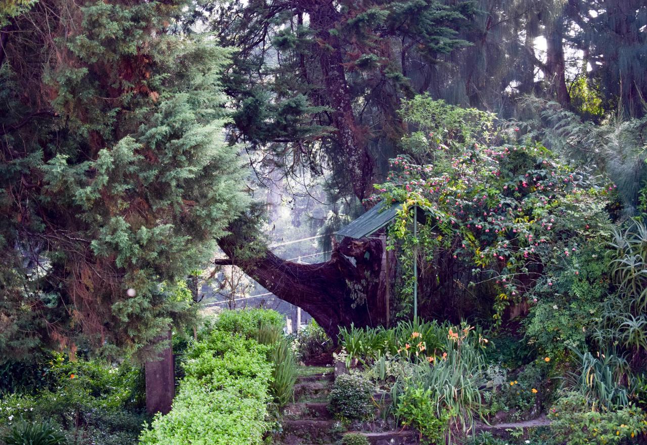 Mount Mary Inn Nuwara Eliya Exterior foto